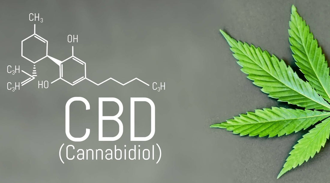 Test salivaire THC gendarmerie détectant la présence de stupéfiants pour une sécurité routière renforcée.