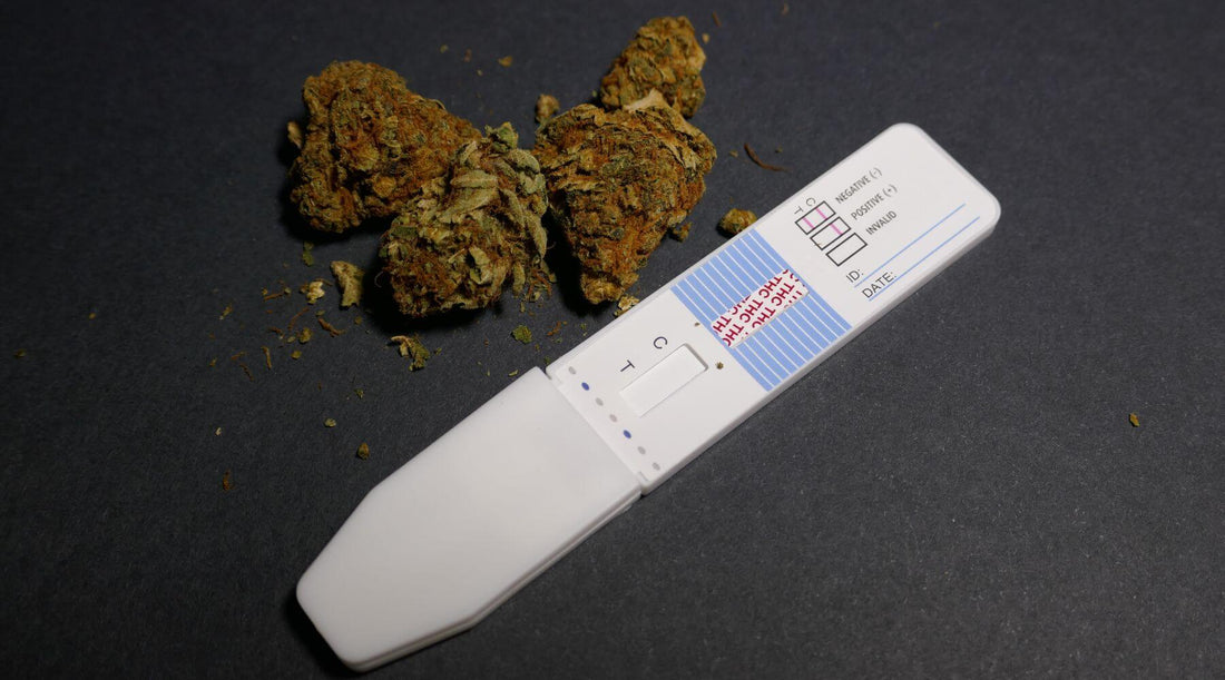 Image représentant un test salivaire THC en cours d'utilisation, accompagné d'informations sur la détection du cannabis et la prévention responsable.