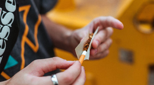 Adolescent exposé aux risques liés à une consommation régulière de cannabis