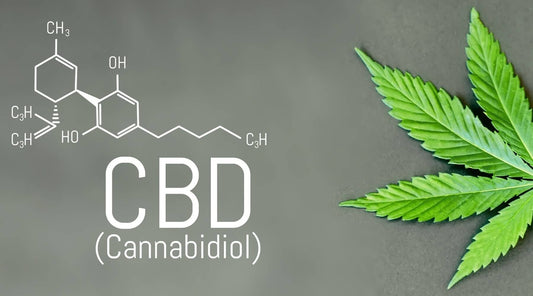 Test salivaire THC utilisé dans le cadre d’un contrôle routier