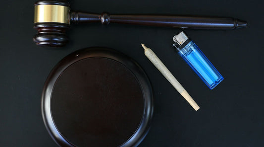 Conducteur s’interrogeant sur le risque de test salivaire positif après consommation de CBD